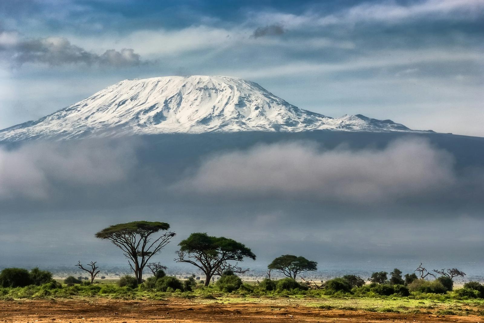 Kibo’s snow-covered summit above a band of cloud, with acacia trees on the plains of Amboseli in Kenya